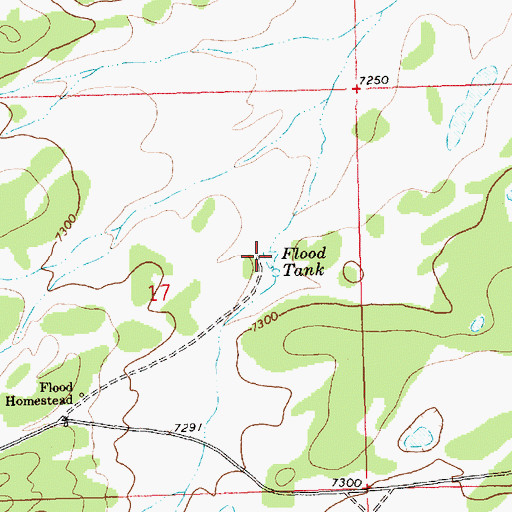 Topographic Map of Flood Tank, NM