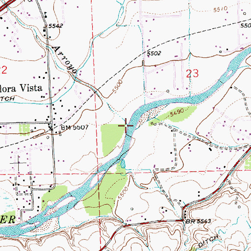 Topographic Map of Flora Vista Arroyo, NM