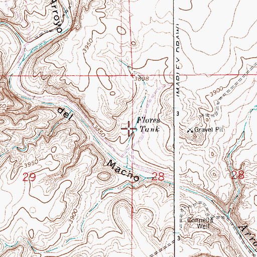 Topographic Map of Flores Tank, NM
