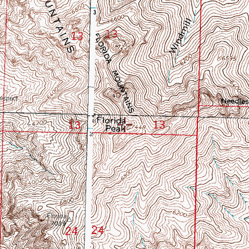 Topographic Map of Florida Peak, NM