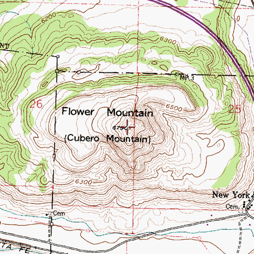 Topographic Map of Flower Mountain, NM