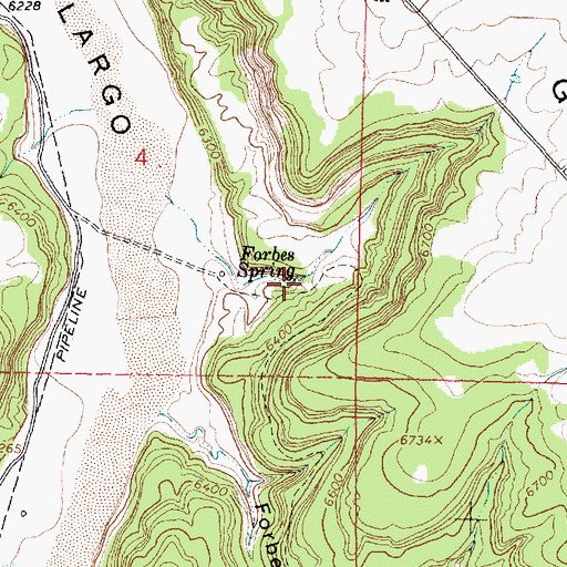 Topographic Map of Forbes Spring, NM