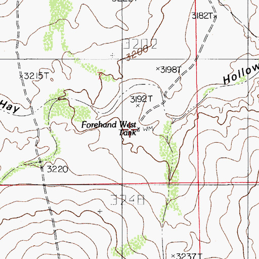 Topographic Map of Forehand West Well, NM