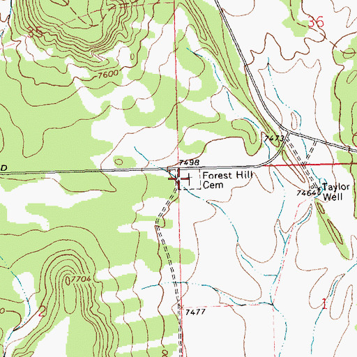 Topographic Map of Forest Hill Cemetery, NM