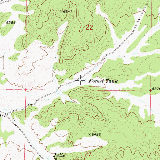 Topographic Map of Forest Tank, NM