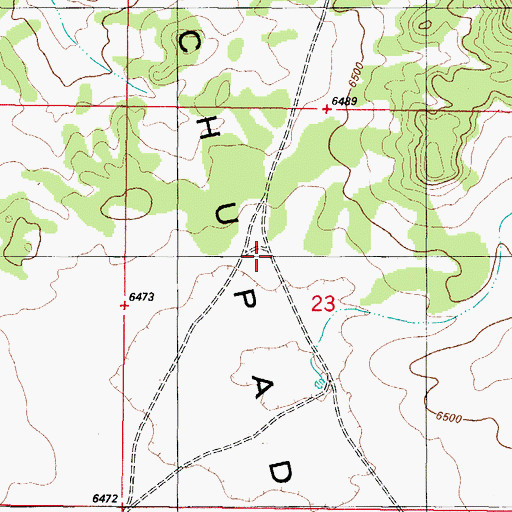 Topographic Map of Forest Well, NM