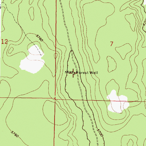 Topographic Map of Forest Well, NM