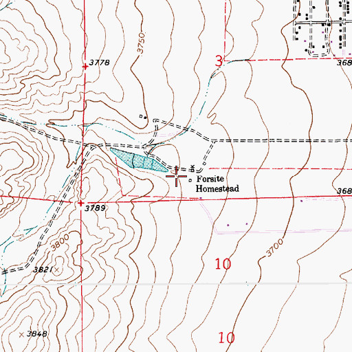 Topographic Map of Forsite Homestead, NM