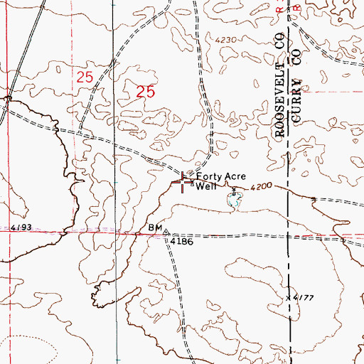 Topographic Map of Forty Acre Well, NM
