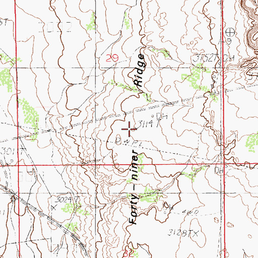Topographic Map of Forty-Niner Ridge, NM