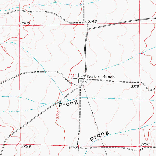 Topographic Map of Foster Ranch, NM