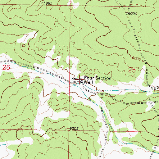 Topographic Map of Four Section Well, NM