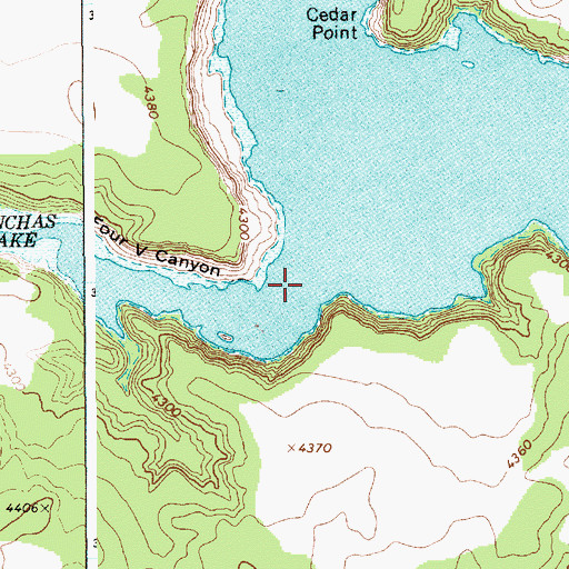 Topographic Map of Four V Canyon, NM