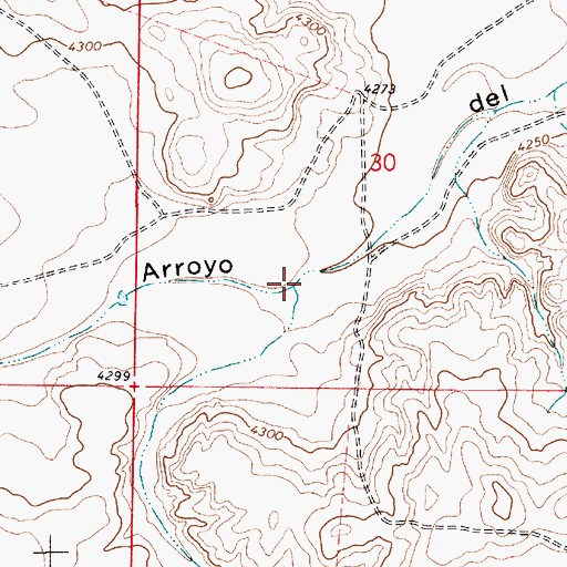 Topographic Map of Fourmile Draw, NM