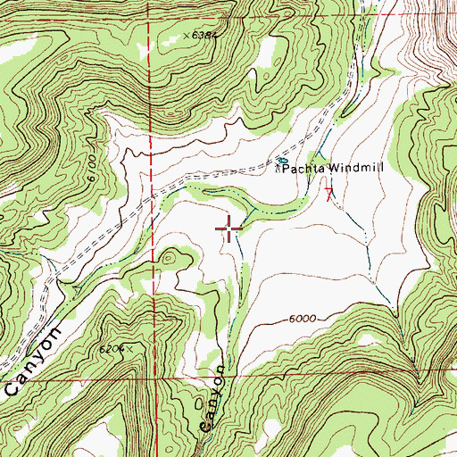 Topographic Map of Fowler Canyon, NM