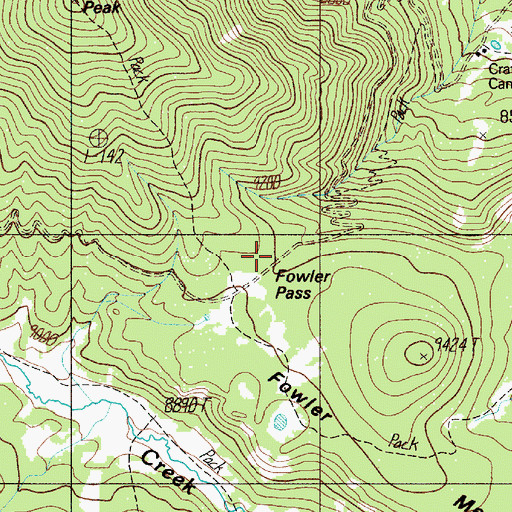 Topographic Map of Fowler Pass, NM