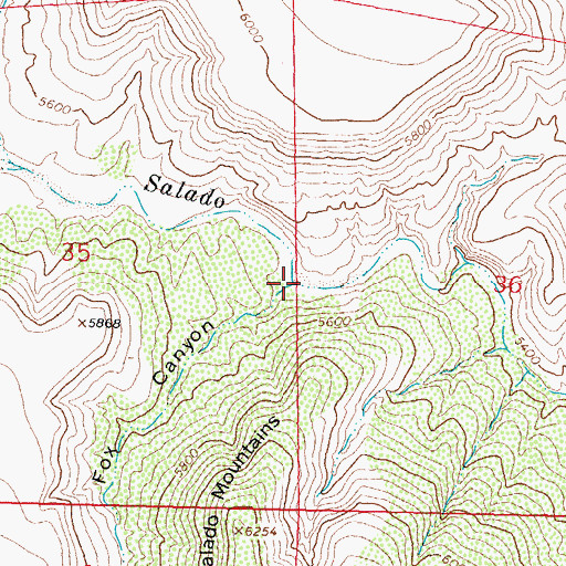 Topographic Map of Fox Canyon, NM