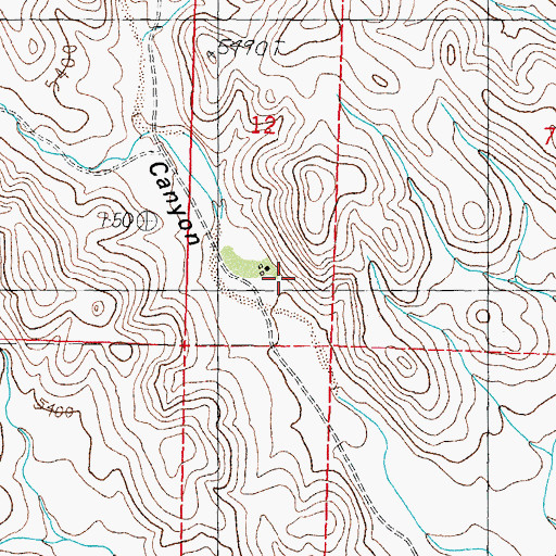 Topographic Map of Franks Ranch, NM