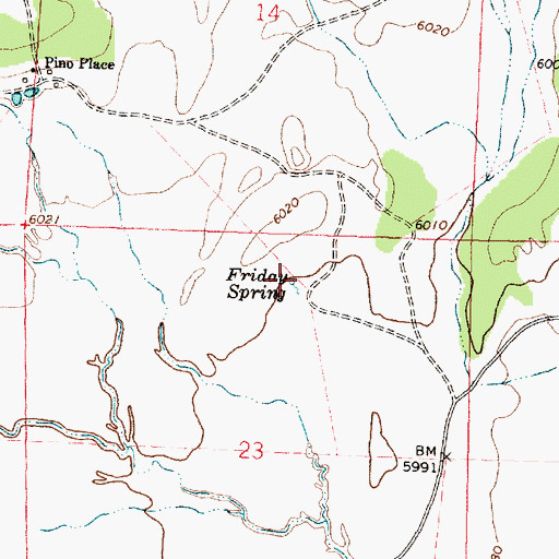 Topographic Map of Friday Spring, NM