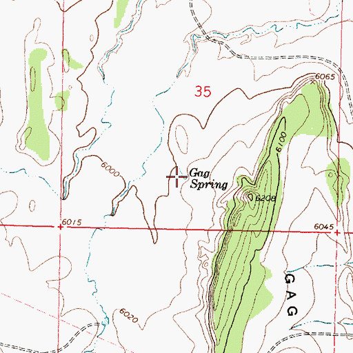 Topographic Map of Gag Spring, NM