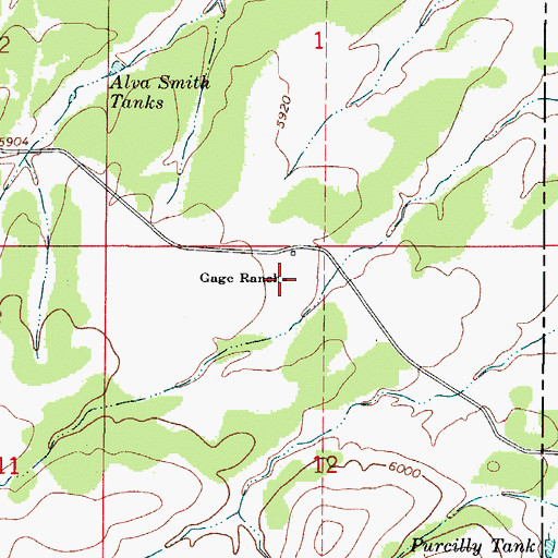 Topographic Map of Gage Ranch, NM