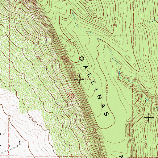 Topographic Map of Gallinas Mesa, NM