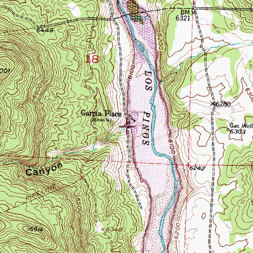 Topographic Map of Garcia Canyon, NM