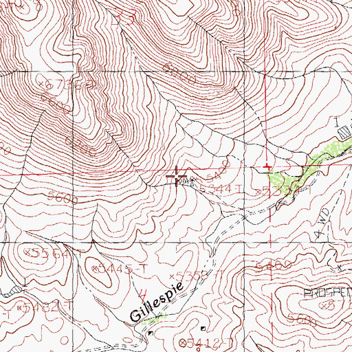 Topographic Map of Gillespie Spring, NM