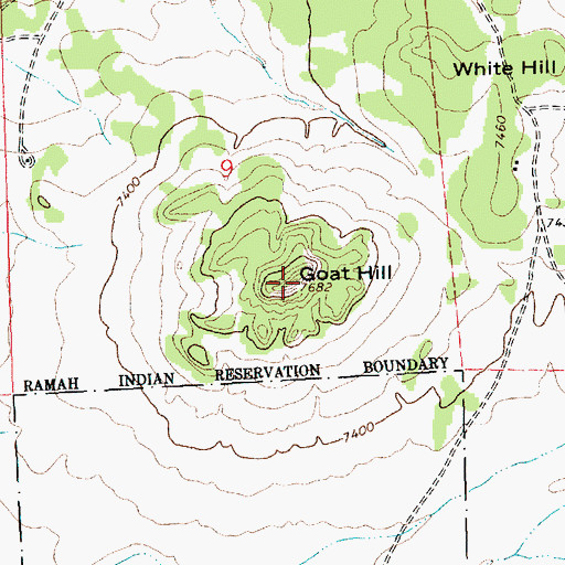 Topographic Map of Goat Hill, NM