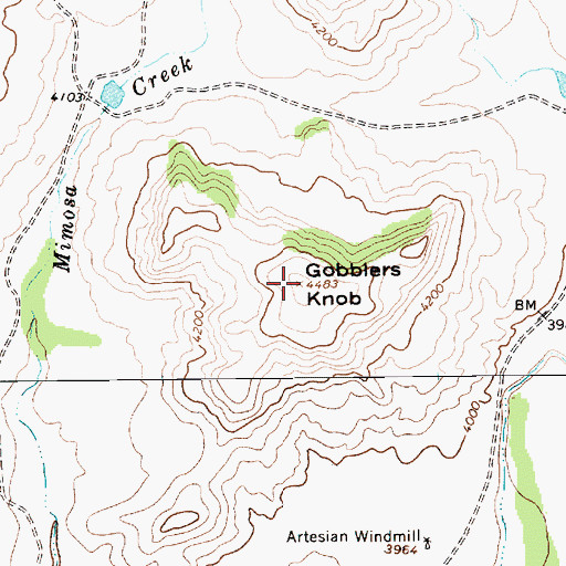 Topographic Map of Gobblers Knob, NM