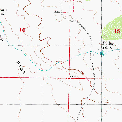 Topographic Map of Goldenburg Draw, NM