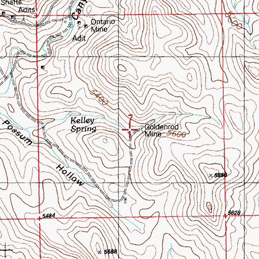 Topographic Map of Goldenrod Mine, NM