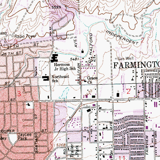 Topographic Map of Grace Church, NM