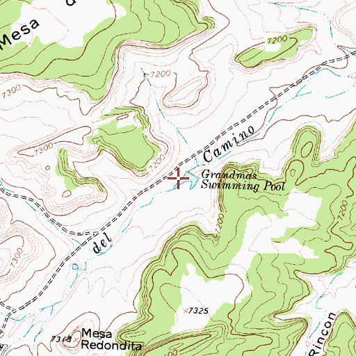 Topographic Map of Grandmas Swimming Pool, NM