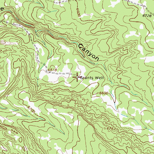 Topographic Map of Grants Well, NM