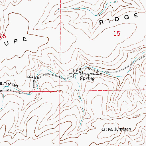 Topographic Map of Grapevine Spring, NM
