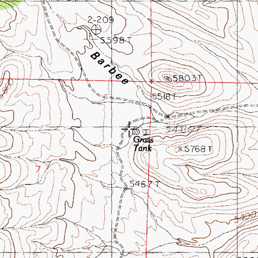Topographic Map of Grass Tank, NM