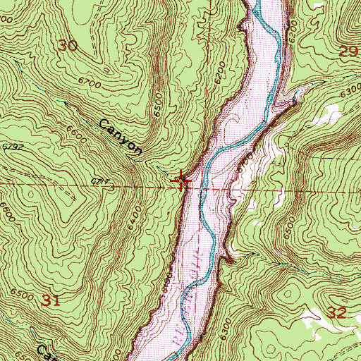 Topographic Map of Grassy Canyon, NM
