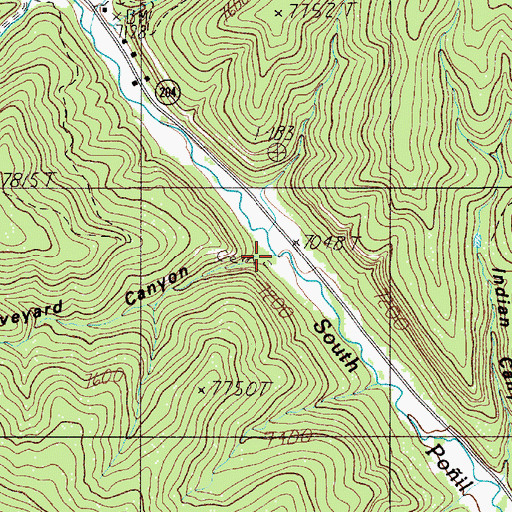 Topographic Map of Graveyard Canyon, NM