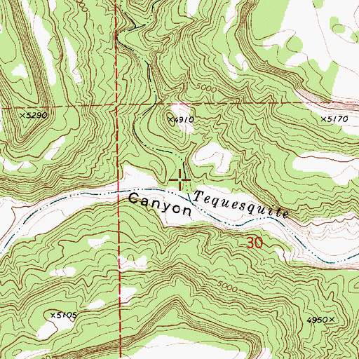 Topographic Map of Graybill Canyon, NM