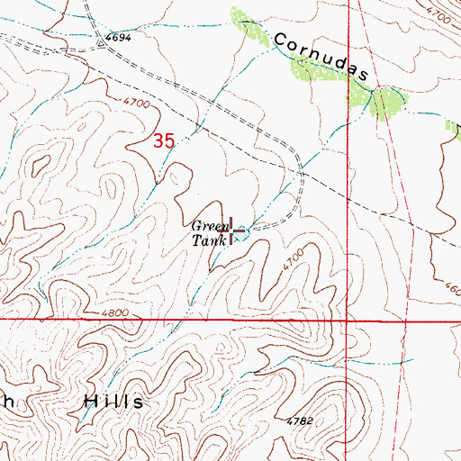 Topographic Map of Green Tank, NM