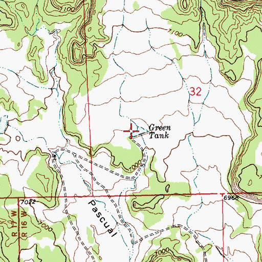 Topographic Map of Green Tank, NM