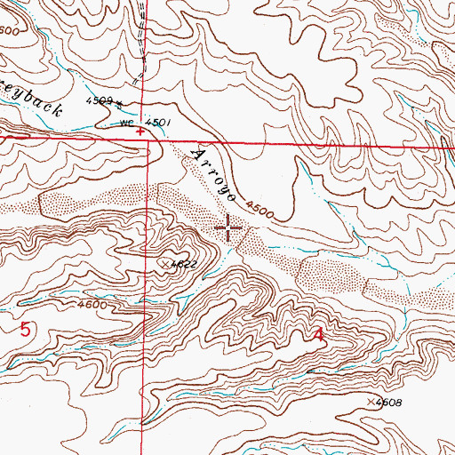Topographic Map of Greyback Arroyo, NM