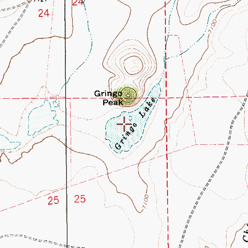 Topographic Map of Gringo Lake, NM