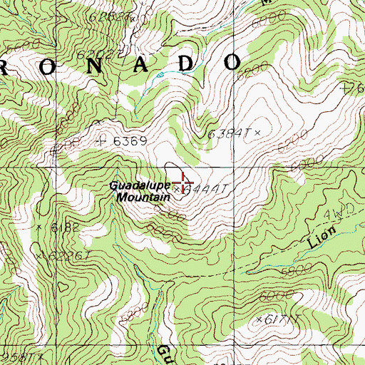 Topographic Map of Guadalupe Mountain, NM
