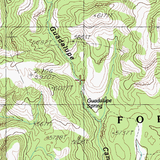 Topographic Map of Guadalupe Spring, NM