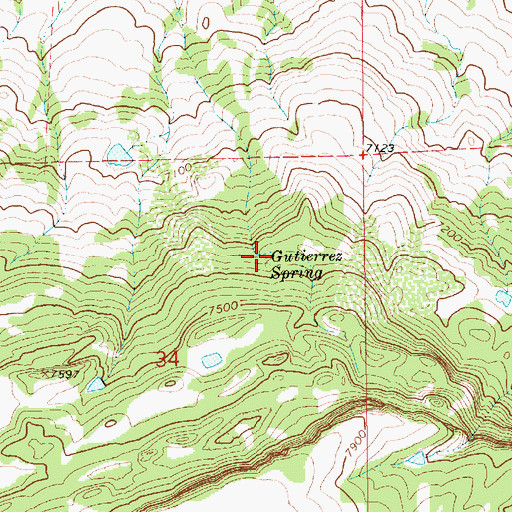 Topographic Map of Gutierrez Spring, NM