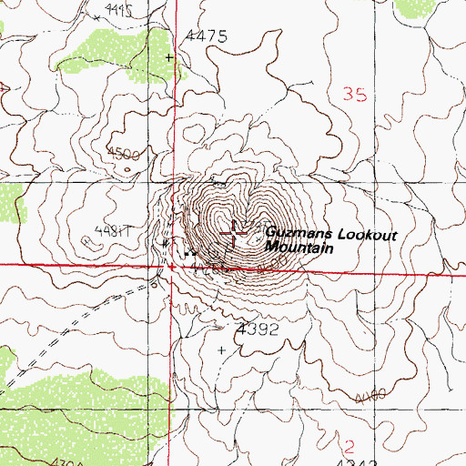 Topographic Map of Guzmans Lookout Mountain, NM