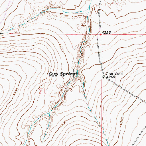 Topographic Map of Gyp Spring, NM