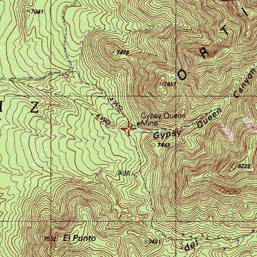 Topographic Map of Gypsy Queen Mine, NM